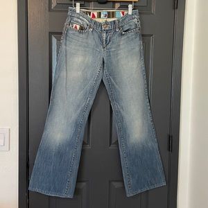 Joe’s Jeans Vintage Low Waist Embroidered Flare Jeans 29